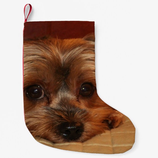 Petite Chaussette De Noël Chiot mignon de Yorkshire Terrier (Devant)