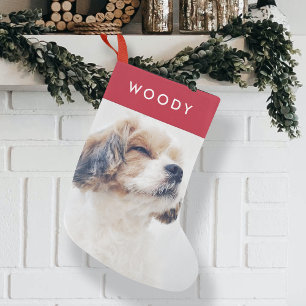 Petite Chaussette De Noël Christmas Dog Photo   Modern Stylish Red Pet