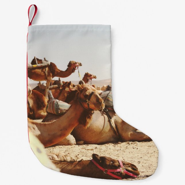 PETITE CHAUSSETTE DE NOËL CINQ CAMELS SUR LE TERRAIN (Devant)