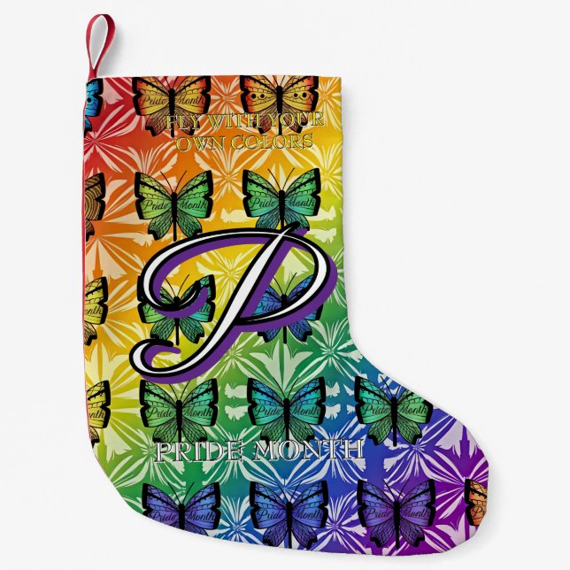 Petite Chaussette De Noël Collection Fierté en Vol (Devant)