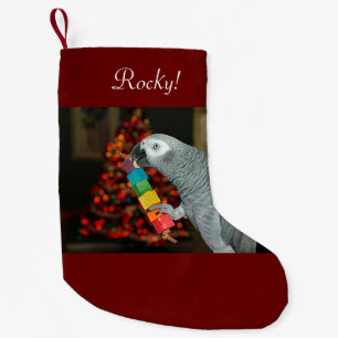 Petite Chaussette De Noël Congo African Grey Parrot Joyeux sapin de Noël