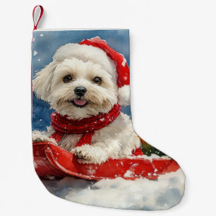 Petite Chaussette De Noël Coton De Tulear en Luge Laissez Tomber la Neige No