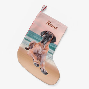 Petite Chaussette De Noël Coutume Grand Chien Danse assis sur la plage