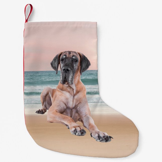 Petite Chaussette De Noël Coutume Grand Chien Danse assis sur la plage (Devant)