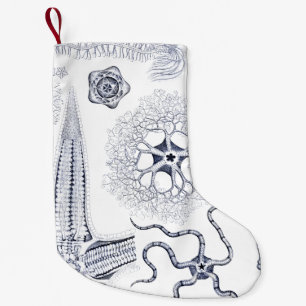 Petite Chaussette De Noël Créatures étranges de mer d'espèce marine/biolo