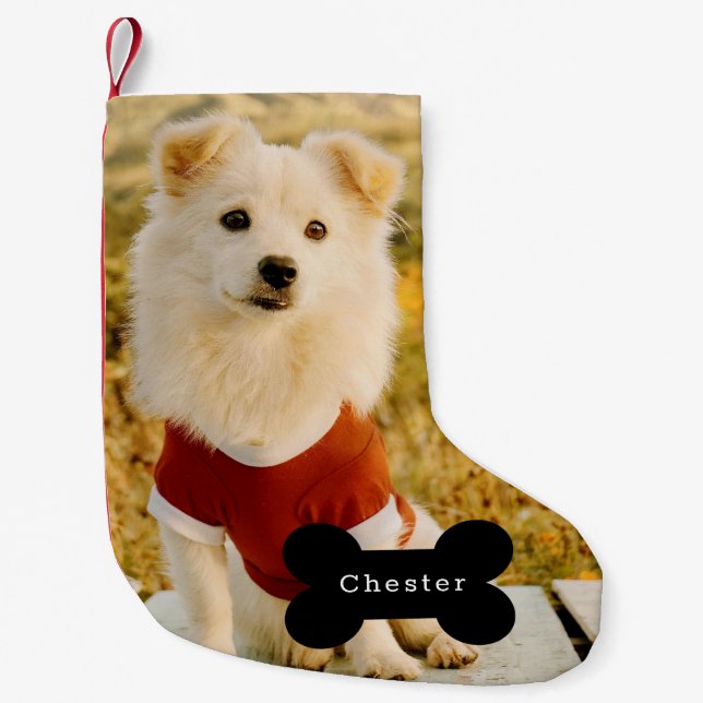 Petite Chaussette De Noël Custom Dog Photo with Personalized Name  (Devant)