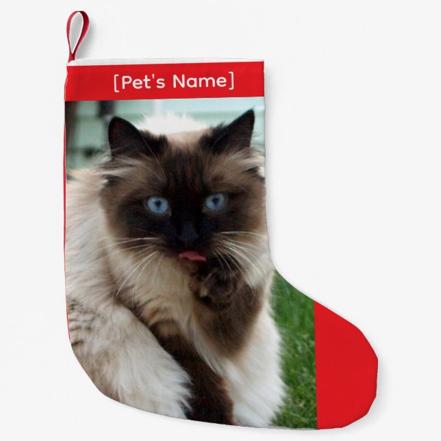 Petite Chaussette De Noël Custom Pet Photo Christmas Stocking (Devant)
