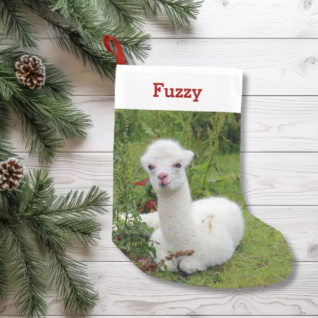 Petite Chaussette De Noël Cute Alpaca Lover Pet Photo et nom Personnalisé (Créateur téléchargé)