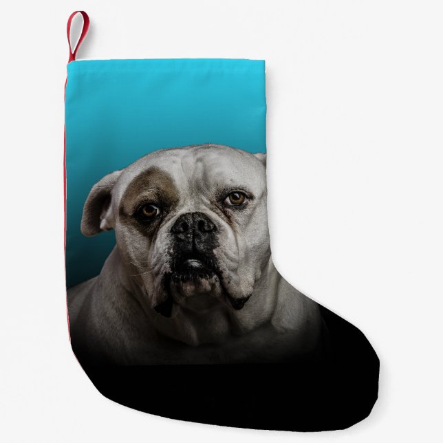 Petite Chaussette De Noël Cute Boxer Dog w Blue Black Gradient arrière - pla (Devant)