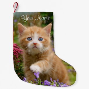 Petite Chaussette De Noël Cute chaton au gingembre dans un portrait de photo