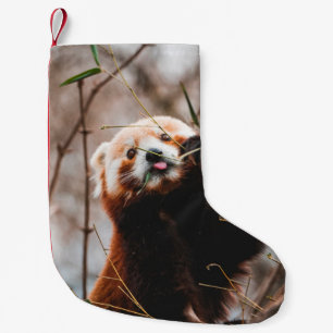 PETITE CHAUSSETTE DE NOËL CUTE KOALA BEAR