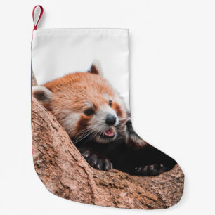 PETITE CHAUSSETTE DE NOËL CUTE KOALA BEAR FAMILLE