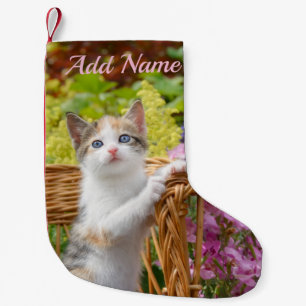 Petite Chaussette De Noël Cute Nosy Baby Chat Kitten dans un jardin fleuri