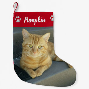 Petite Chaussette De Noël Cute Orange Tabby Chat Personnalisé Animal Photo 