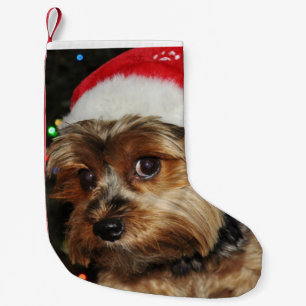 Petite Chaussette De Noël Cute Yorkshire Terrier avec Santa Hat