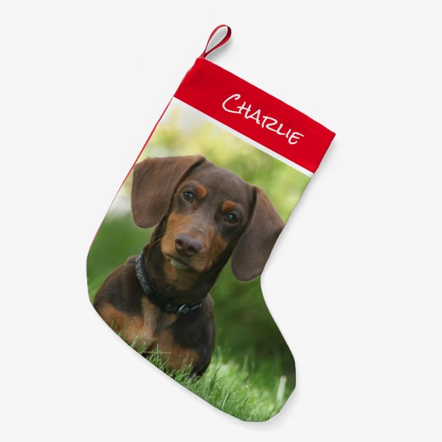 Petite Chaussette De Noël Dachshund assis dans l'herbe (Devant (Accrochage))