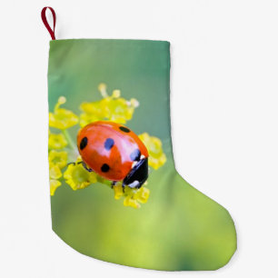 Petite Chaussette De Noël dame sur le dessus