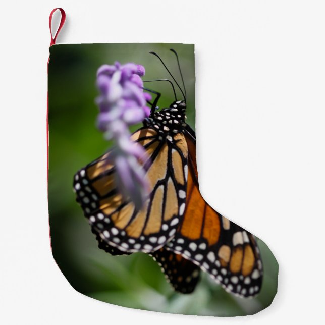 Petite Chaussette De Noël Danaus Plexippus de monarque (Devant)