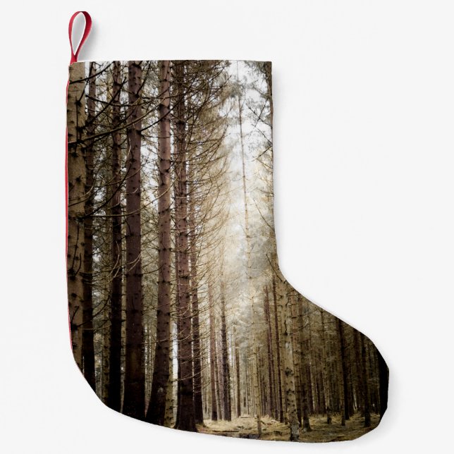 PETITE CHAUSSETTE DE NOËL DANS LA FORÊT (Devant)