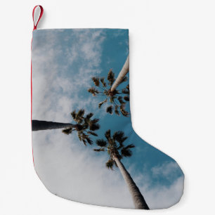 Petite Chaussette De Noël Des vers photographient des cocotiers