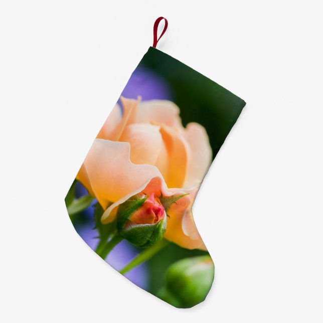 Petite Chaussette De Noël désir déployé (Devant (Accrochage))