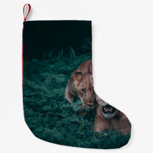 PETITE CHAUSSETTE DE NOËL DEUX LIONISATIONS SUR LES PLANTES VERTS