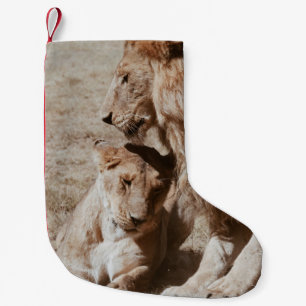 PETITE CHAUSSETTE DE NOËL DEUX LIONS BROWN SUR LE CHAMP VERT