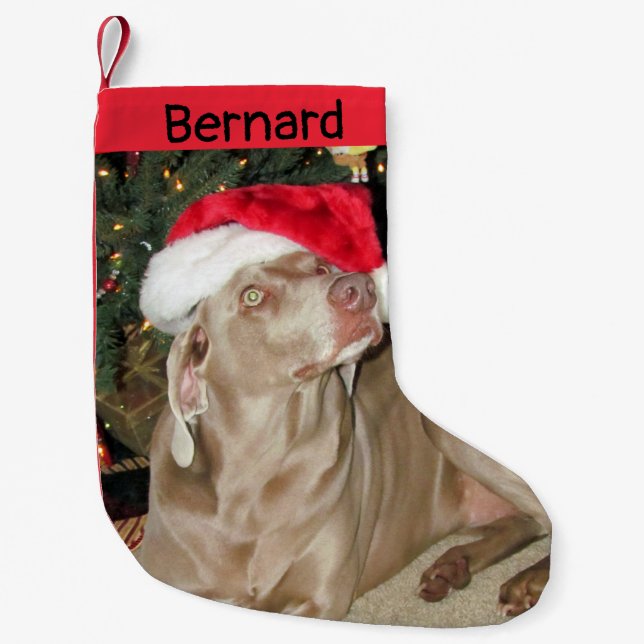 Petite Chaussette De Noël Dog Weimaraner mignon - Personnalisé (Devant)