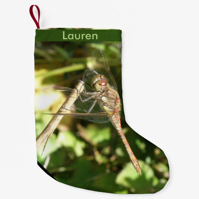 Petite Chaussette De Noël Dragonfly on a Twig Custom Christmas Stocking (Devant)