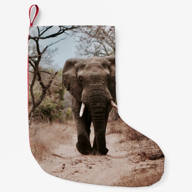 PETITE CHAUSSETTE DE NOËL ÉLÉPHANT NOIR MARCHANT SUR SABLE BROWN (Devant)