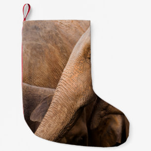 Petite Chaussette De Noël Famille des éléphants : Faune majestueuse