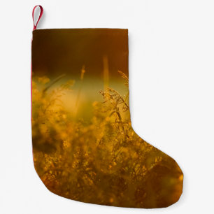 Petite Chaussette De Noël Fermer la silhouette d'un champ d'herbe par le cou