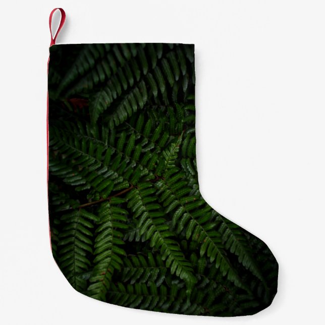 Petite Chaussette De Noël Fern plante (Devant)