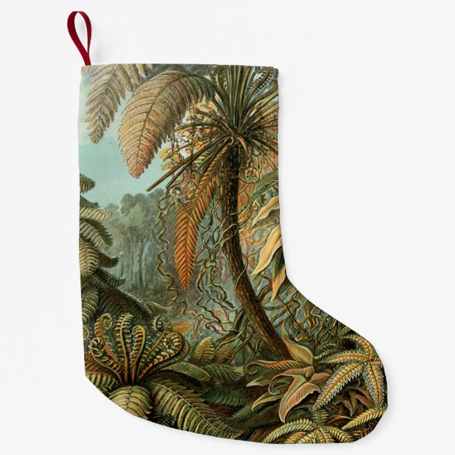 Petite Chaussette De Noël Ferns Palm Tree Antiquité Botanique Ferns Art (Devant)