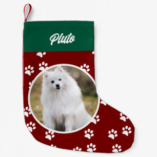Petite Chaussette De Noël Festive mignonne chien animal de compagnie photo