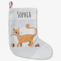 Filles mignonnes et amusantes Gingembre Tabby Chat