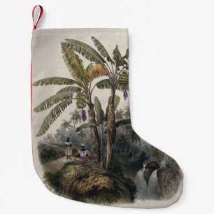 Petite Chaussette De Noël Forêt de bananiers tropicaux antiques   Bota vinta