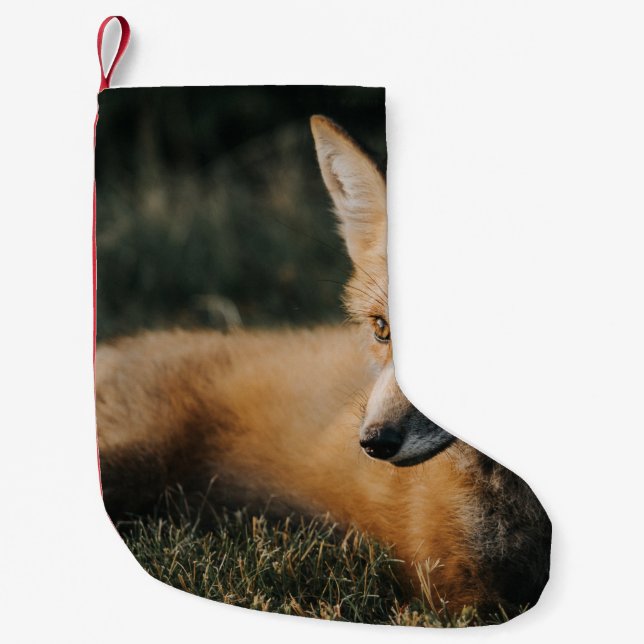 PETITE CHAUSSETTE DE NOËL FOX BROWN AU SOL (Devant)