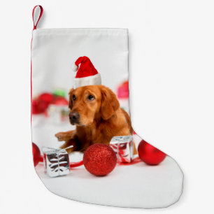 Petite Chaussette De Noël Golden Retriever Chien W Red Santa Chapel Noël