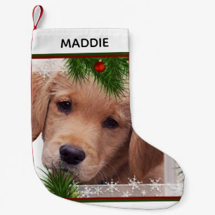 Petite Chaussette De Noël Golden Retriever Noël - Chien mignon chiot