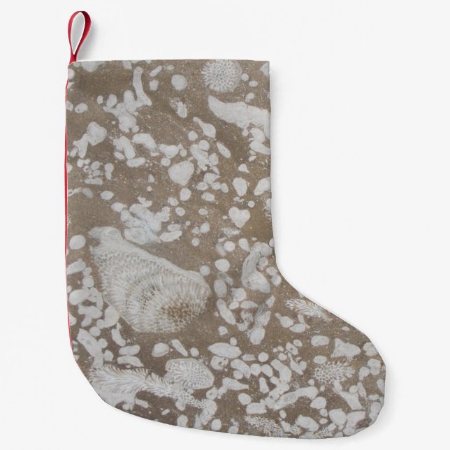 Petite Chaussette De Noël Gorge fossile de Devonian (Devant)