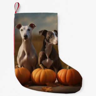 Petite Chaussette De Noël Greyhound Chiot Automne Citrouille de plaisir