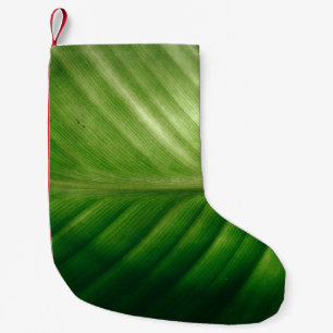 Petite Chaussette De Noël Gros plan des feuilles vertes