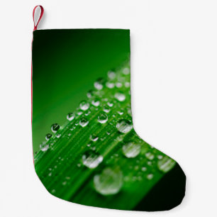 Petite Chaussette De Noël Herbe verte à feuilles d'eau