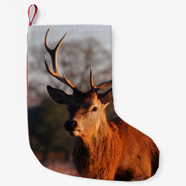 PETITE CHAUSSETTE DE NOËL HI DEER (Devant)