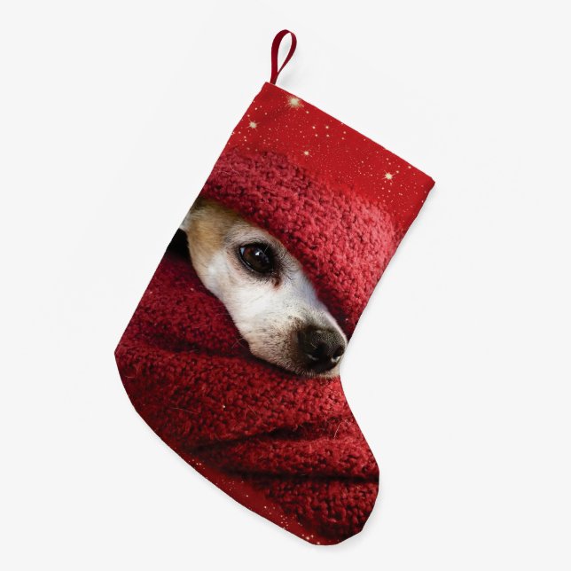 Petite Chaussette De Noël Holiday Chihuahua  (Devant (Accrochage))