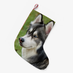 Petite Chaussette De Noël Husky