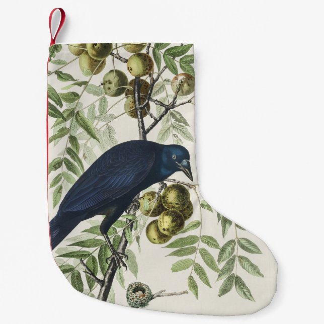 Petite Chaussette De Noël Illustration Audubon Black Crow American Bird (Devant)