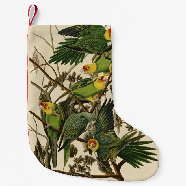 Petite Chaussette De Noël Illustration Audubon Carolina Parrot Bird (Devant)