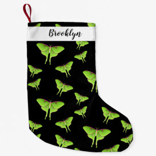 Petite Chaussette De Noël Illustration de Luna Moth